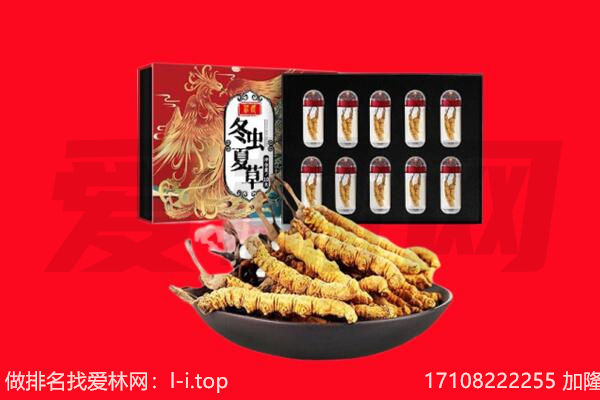 楚雄大姚县回收虫草.jpg